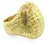 Toscano Collection Ring 18K